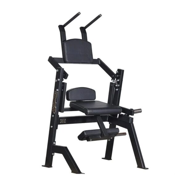 070 Seated Abdominal Gymleco