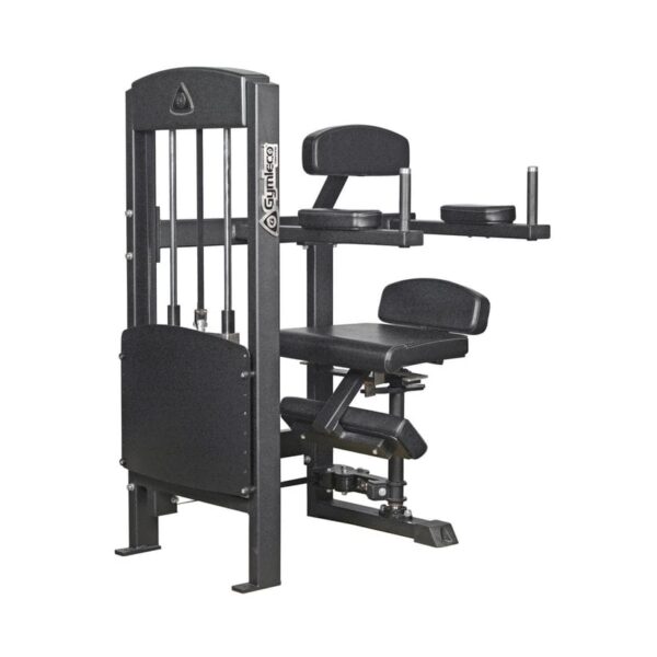 375 Torso Rotation Gymleco